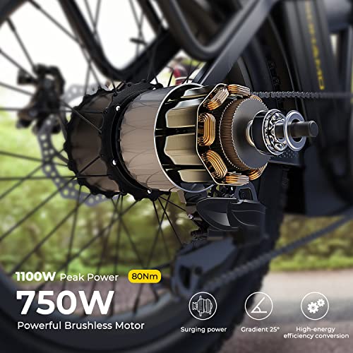 750W Brushless Motor Foldable Electric Bike with 48V 15/20AH Battery B428