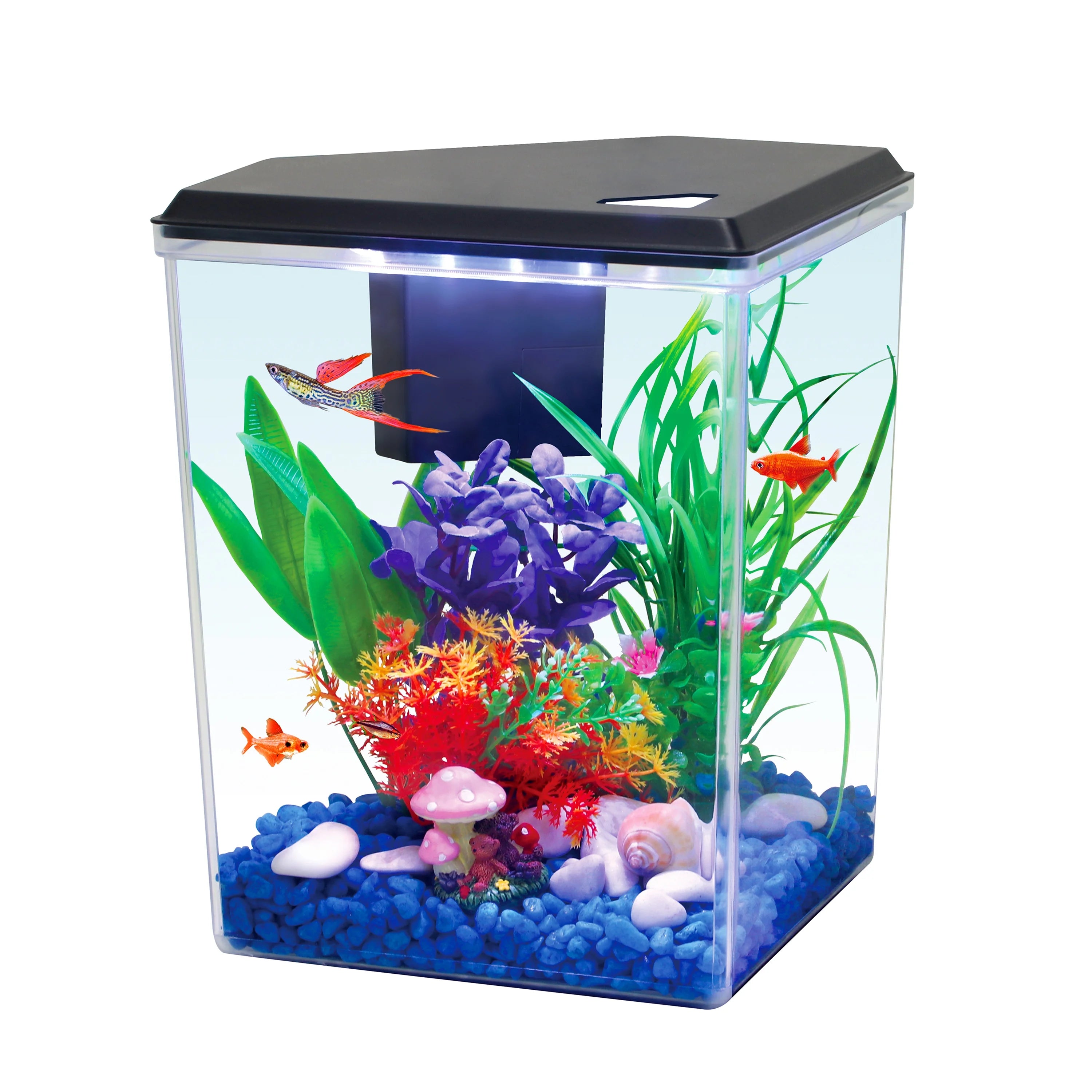 2.5 Gallon Plastic Black Aquarium with Accessories M13733