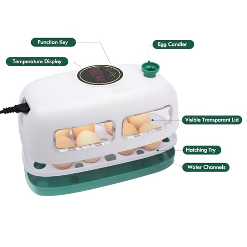 12-24 Poultry Incubator with Automatic Egg Turning and Temperature Control E380