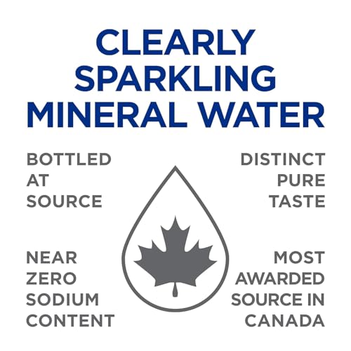 Clearly Canadian Mountain Blackberry Sparkling Water, 11 Fl Oz Q467