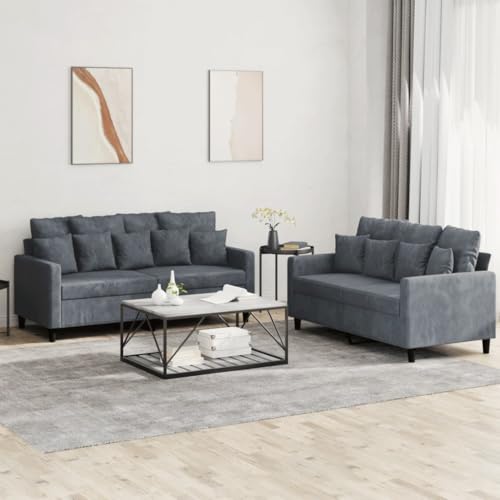 2-Piece Dark Gray Velvet Sofa Set O281726