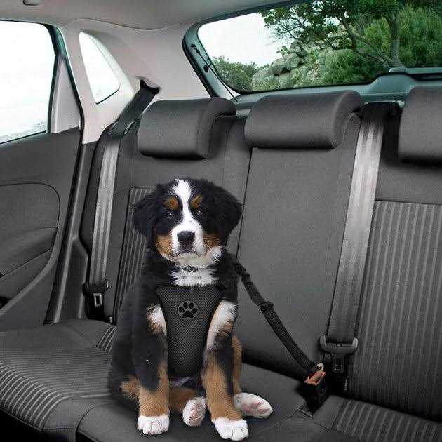 Adjustable Dog Car Seat Belt F788