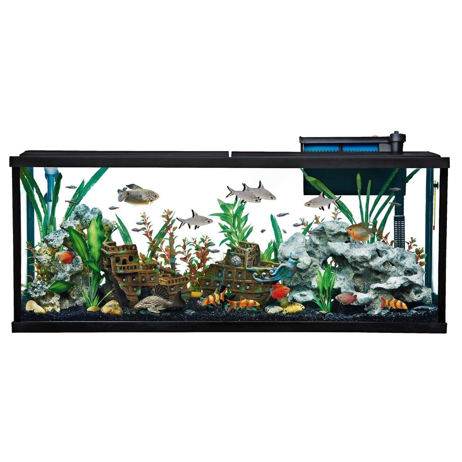 Aquarium Tank Starter Kit F218150