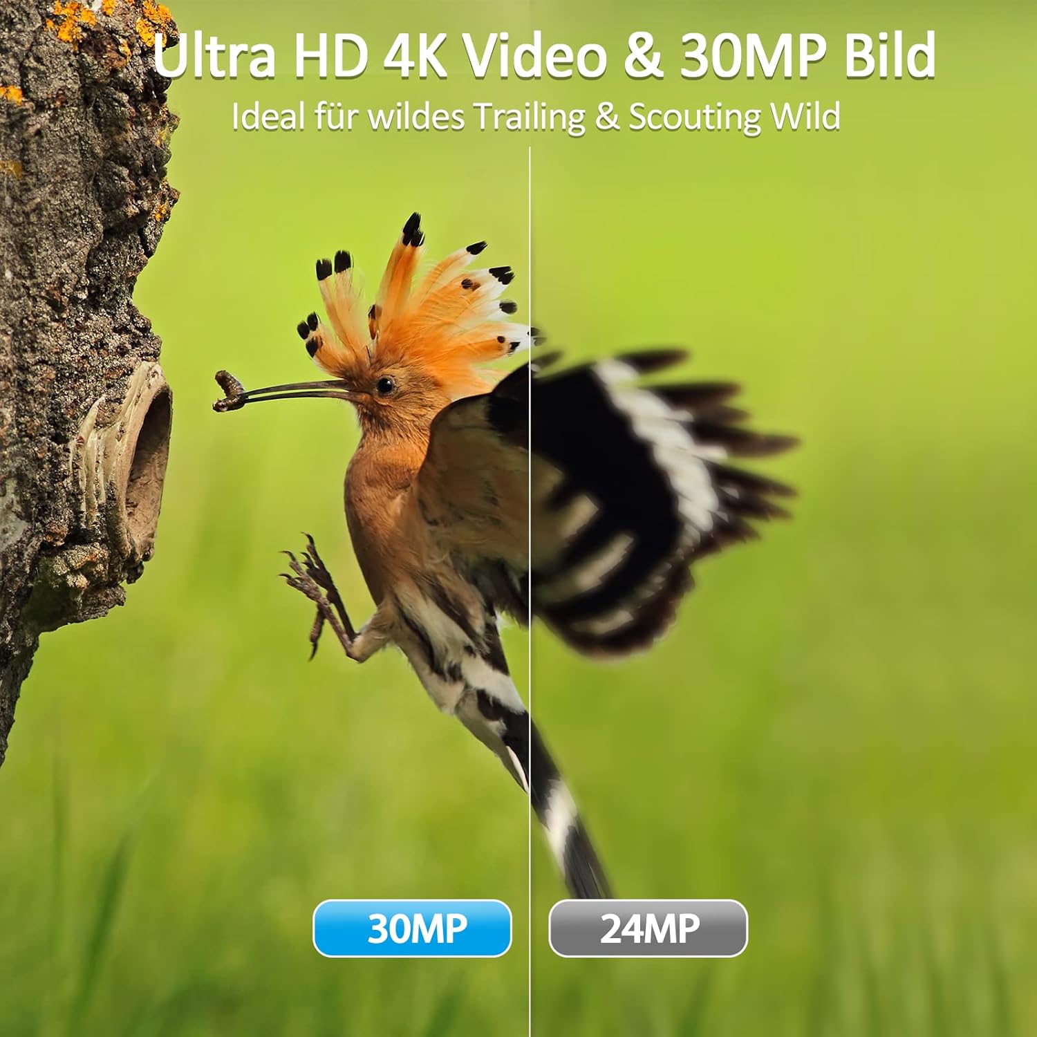 4K 30MP Wireless Bluetooth Wildlife Camera with 64GB Card J50363