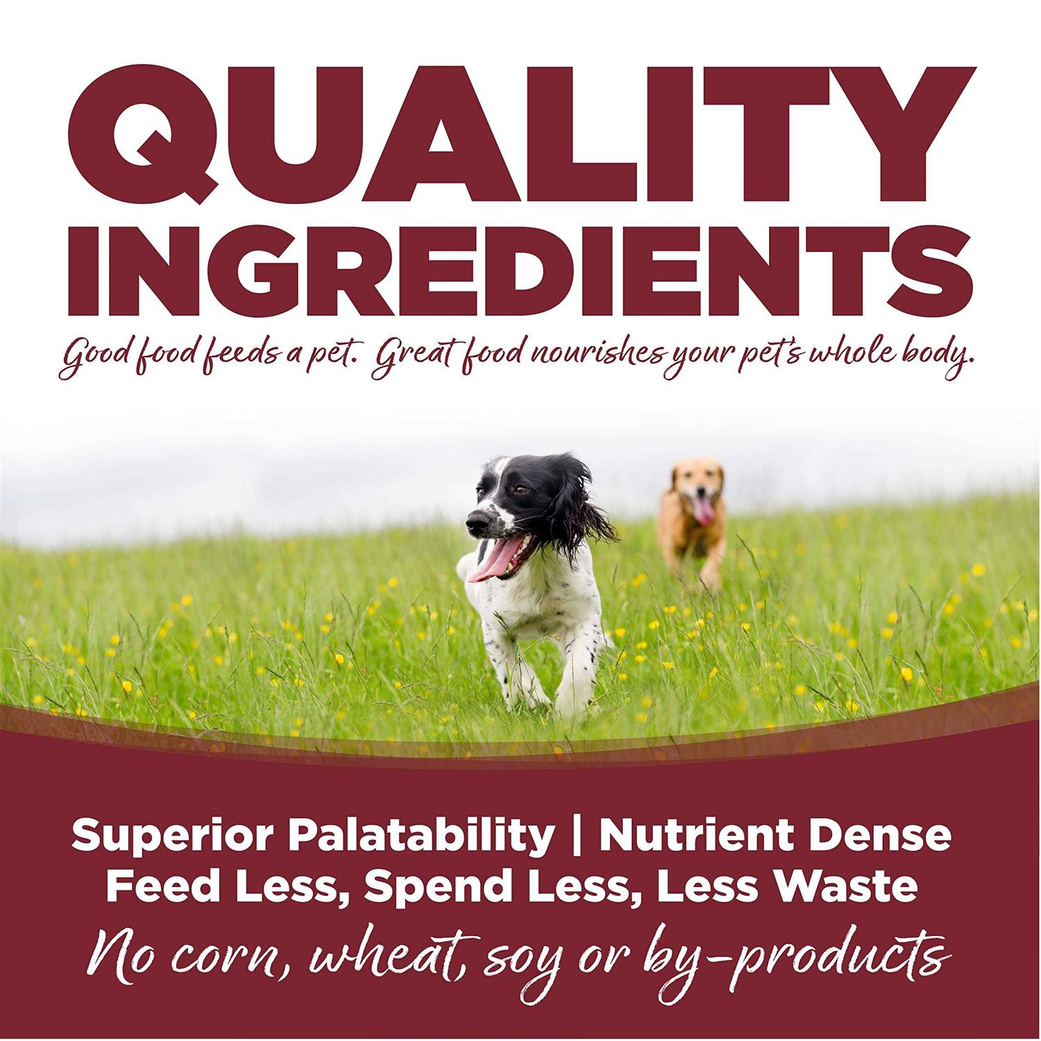 Beef Rice Dry Dog Food N3428