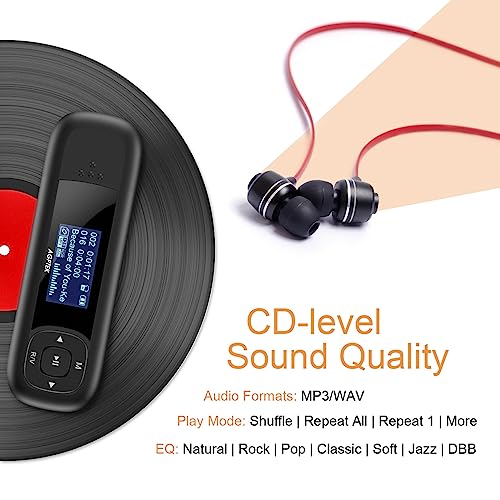 40GB MP3 Player with FM Radio and Recording A4075