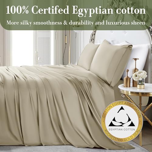 Queen Size 1000 Thread Count 100% Egyptian Cotton Sheets Set - 4 Piece (Dark Grey) D2191