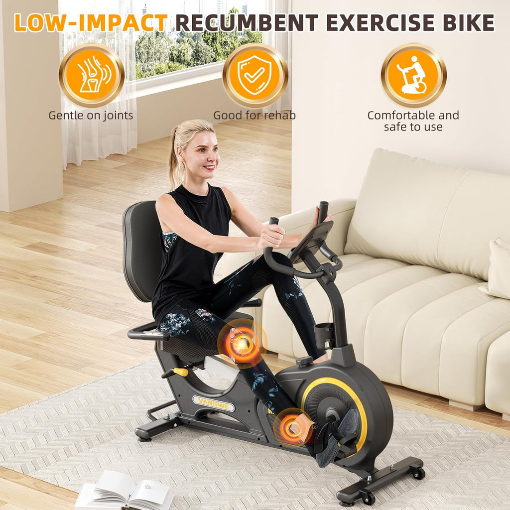 Recumbent Exercise Bike with LED Display I452810