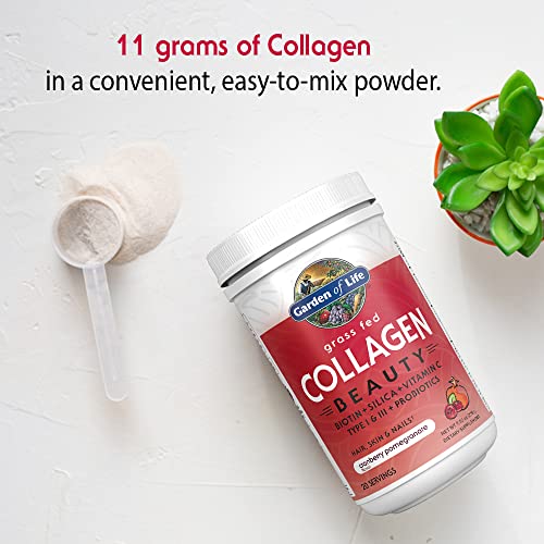 Cranberry Pomegranate Collagen Powder, 20 Servings R794987