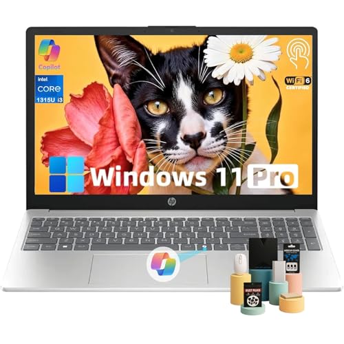 15.6" Touchscreen Business Laptop Computer Intel 13th Core i3-1315U Intel UHD Graphics Anti-Glare Windows 11 Pro 16 GB RAM 512GB SSD C213