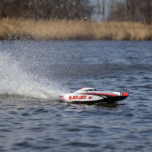 Blackjack 24" Catamaran Brushless RTR J7666