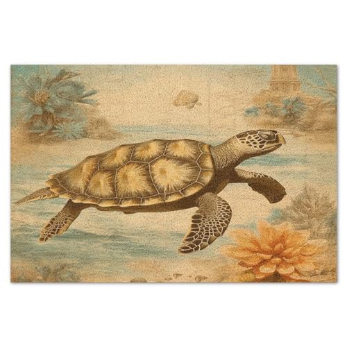 Turtle Coir Fiber Front Door Mat 16x24in R1520