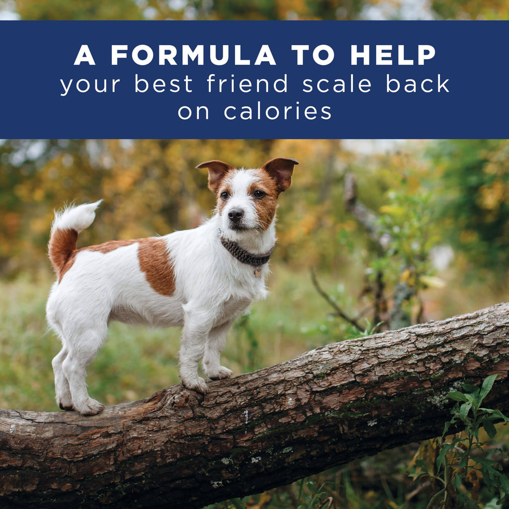 28 lb Chicken Meal Salmon Meal Barley Formula Dog Food Z6641