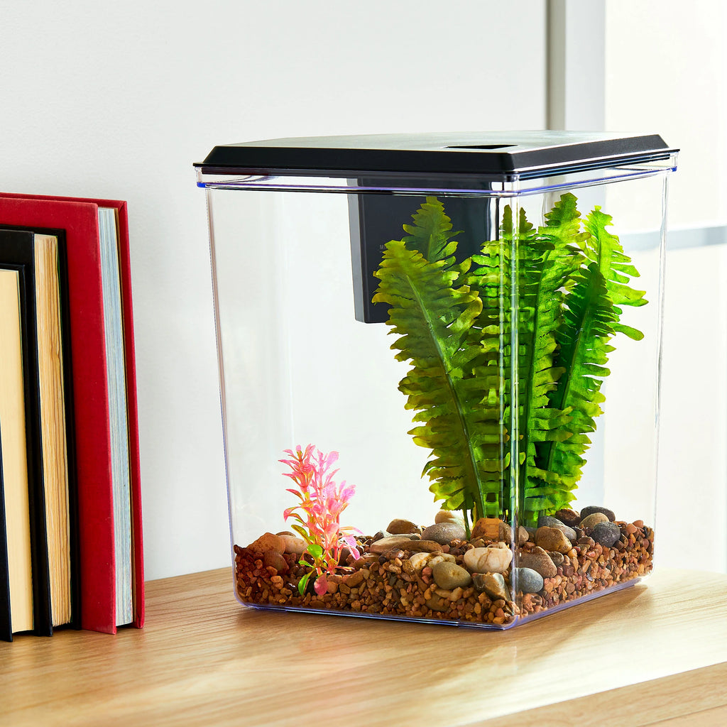 2.5 Gallon Plastic Black Aquarium with Accessories M13733