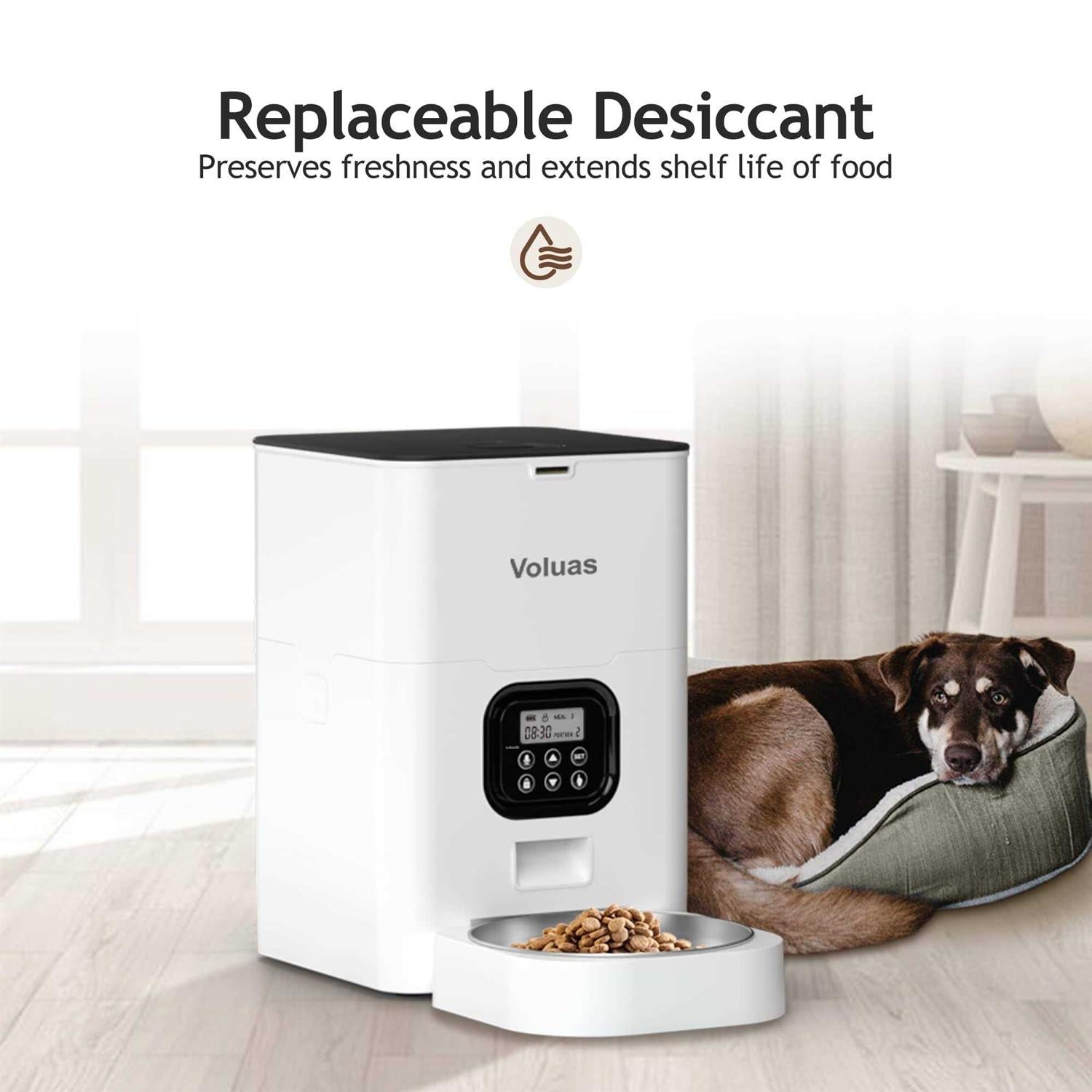 Automatic Pet Feeders Q14737