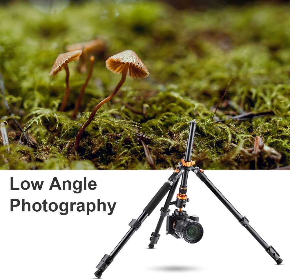 62 inch Aluminum DSLR Camera Tripod with Ball Head T146