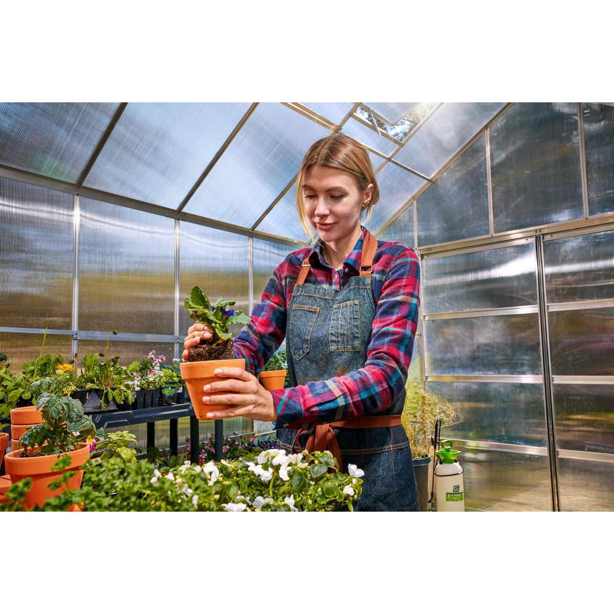 10 ft. x 12 ft. Greenhouse with 4 Vents V646