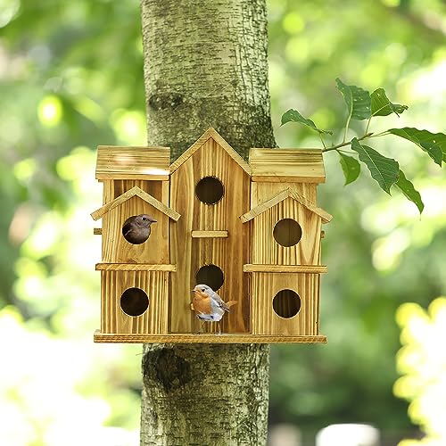 10 Hole Large Bird House J8472