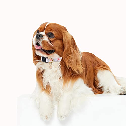 White Peach Dog Collar with Pendant (Small) H2361