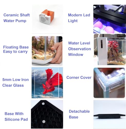 2 Gallon Small Glass Desktop Fish Tank with LED Light and Water Pump Filter M83446