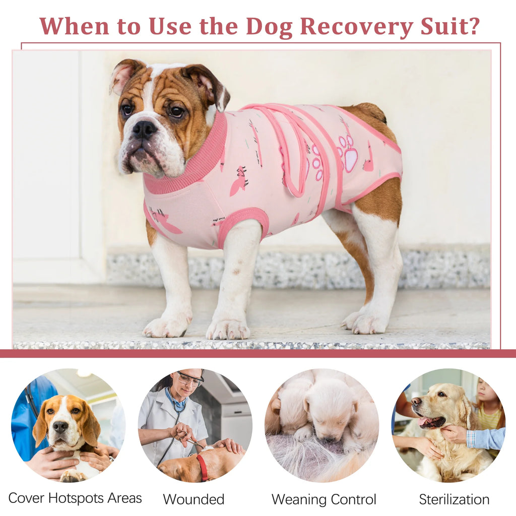 Dog Surgery Recovery Suit, Breathable Abdominal Wound Protector, Anti Licking Recovery Costume P1484