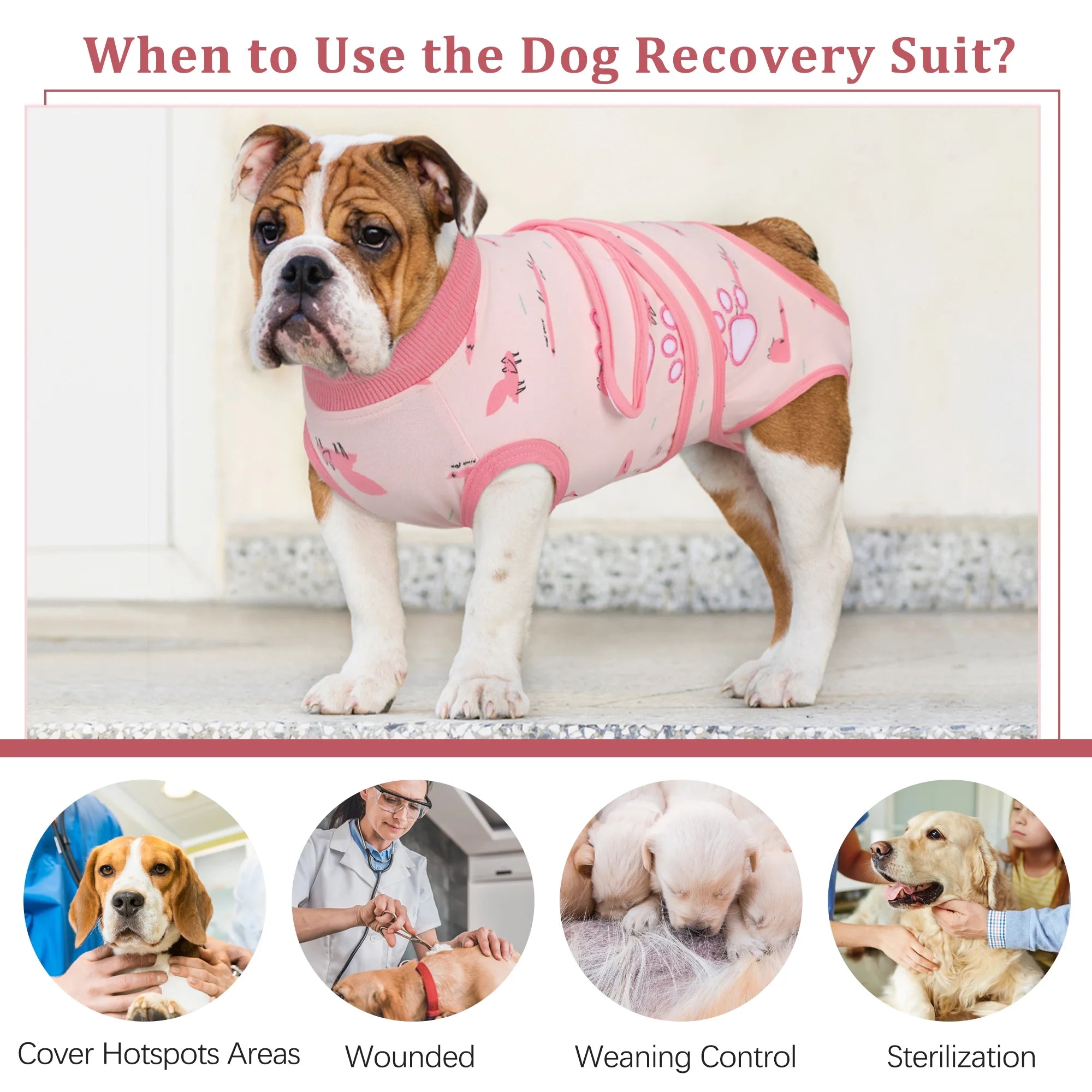 Dog Surgery Recovery Suit, Breathable Abdominal Wound Protector, Anti Licking Recovery Costume P1484