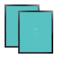 22 x 28 Black Poster Frame 2 Packs F1859