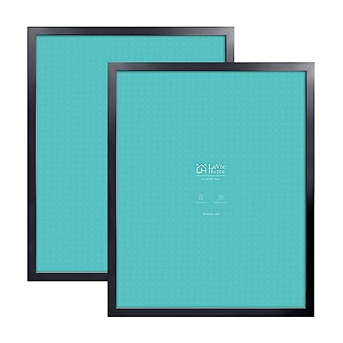 22 x 28 Black Poster Frame 2 Packs F1859