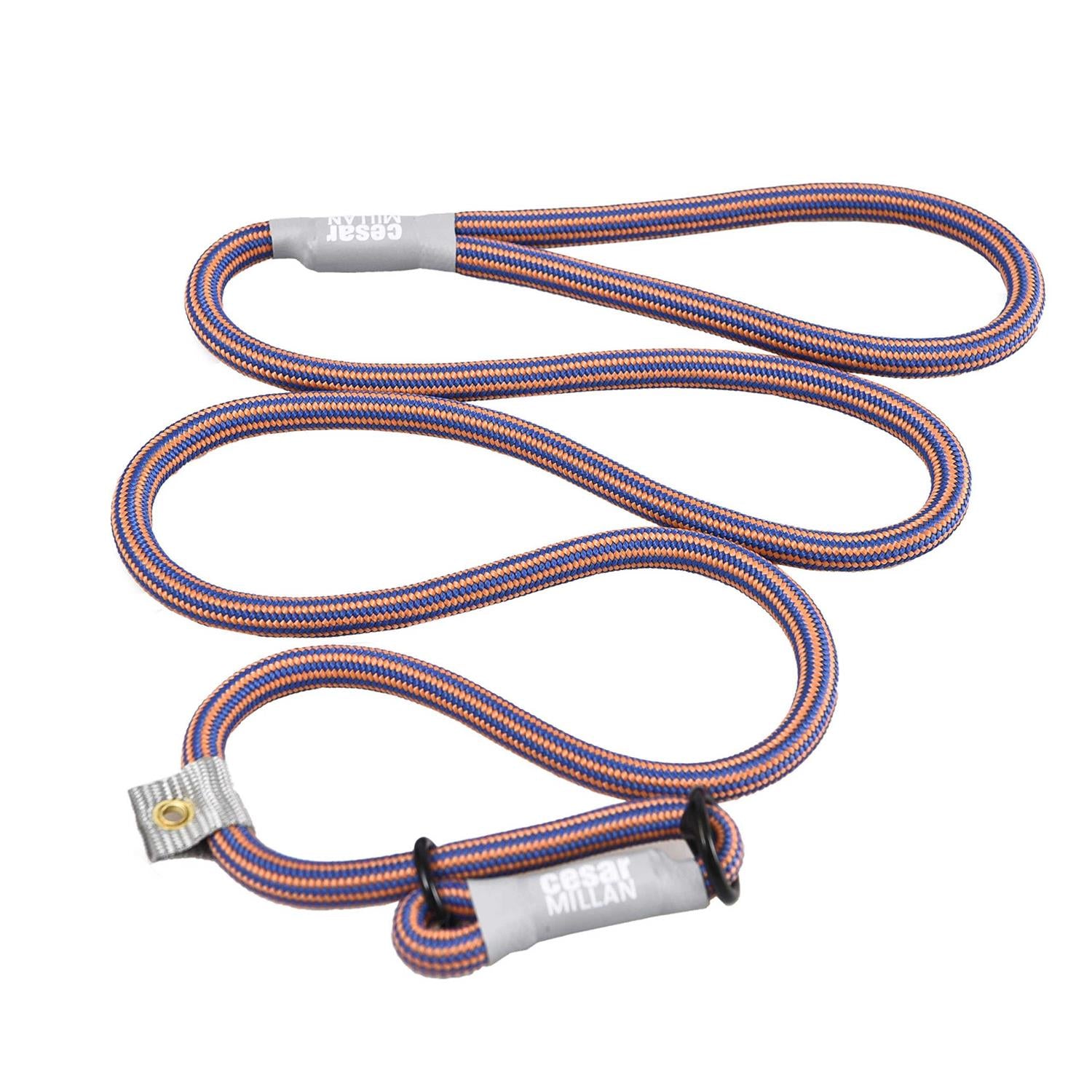 Slip Lead Leash 2-in-1 Dog Training Lead & Collar U159