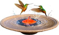 Red Dome Bird Bath Fountain Q389046