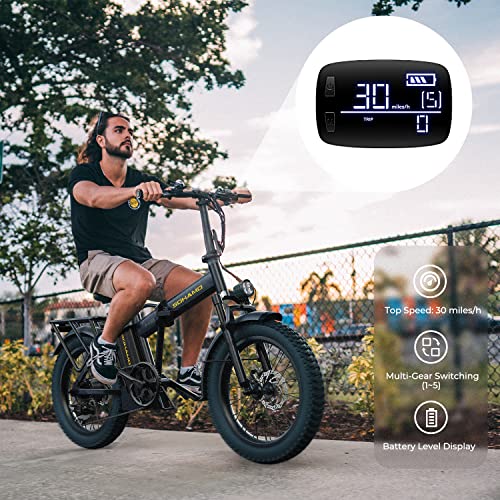 750W Brushless Motor Foldable Electric Bike with 48V 15/20AH Battery B428