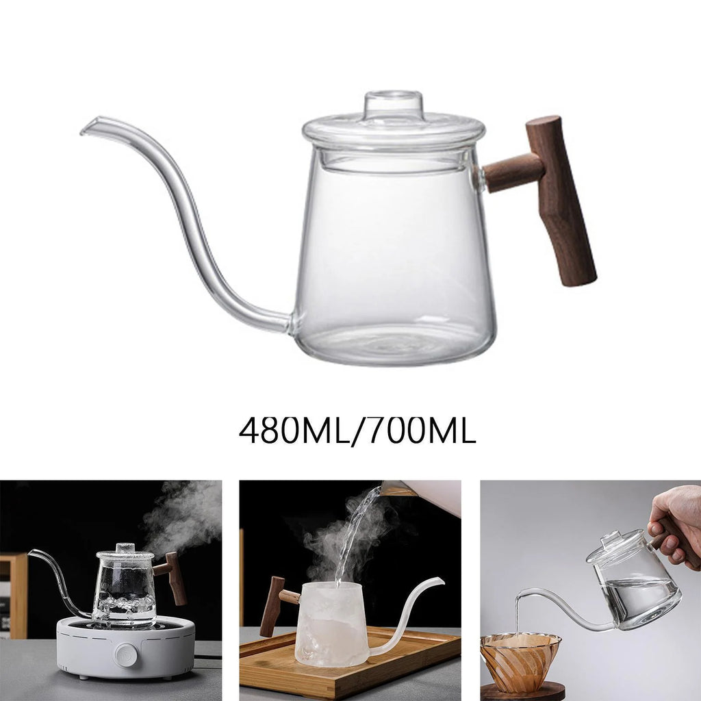 High Borosilicate Glass Gooseneck Kettle with Lid F753054