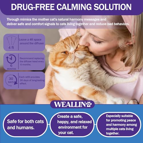 Cat Calming Diffuser Kit with 1 Diffuser + 2 Refill 48ml Vial O852