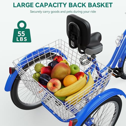 24 & 26 Inch 3-Wheel Adult Tricycle with Front and Rear Baskets D15673