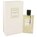 California Reverie X149099