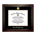 11x22 x 14x22 Medallion Diploma Frame V27892
