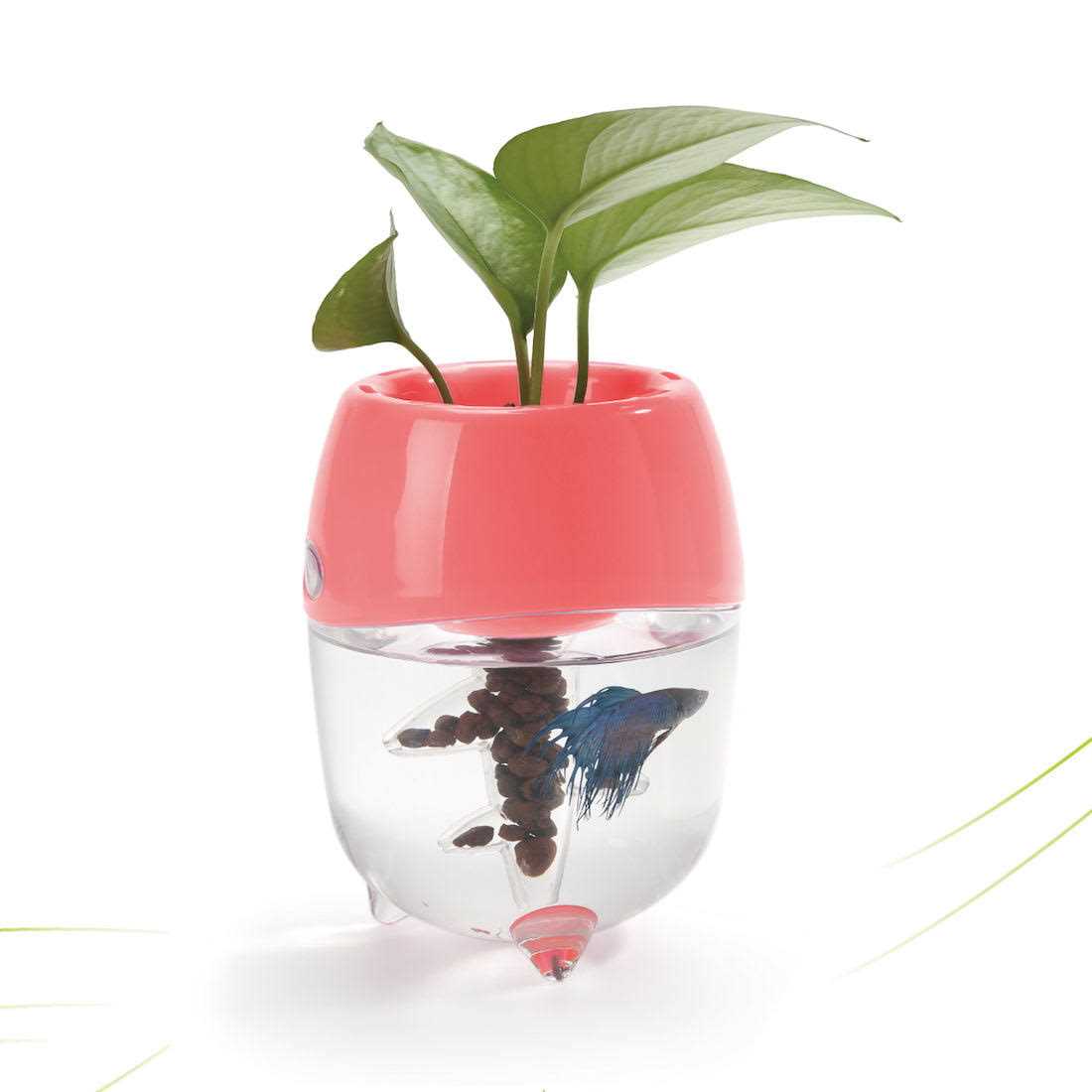 Aquaponic Fish Tank Aquarium with Water Garden Planter Top Lid N5046