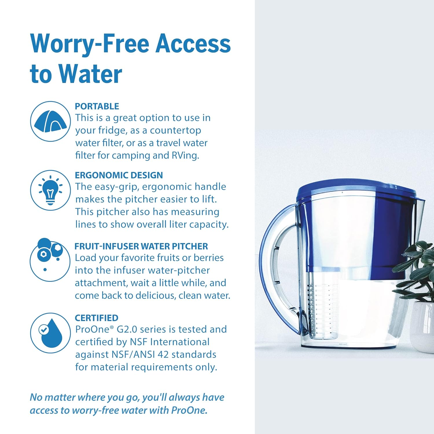 Water Filter Pitcher with Fruit Infuser, Pack of 2 X44391