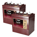 8 Volt 170 Ah Deep Cycle Battery 2 Pack T1484