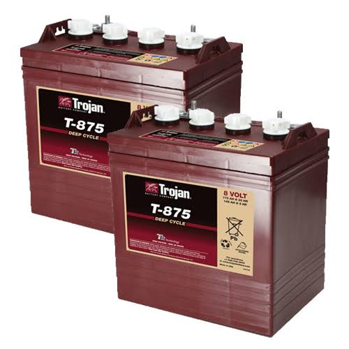 8 Volt 170 Ah Deep Cycle Battery 2 Pack T1484