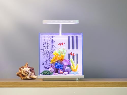 2 Gallon Small Glass Desktop Fish Tank with LED Light and Water Pump Filter M83446