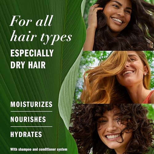 13.5 Fl Oz Pack of 6 Coconut Milk Shampoo X43023
