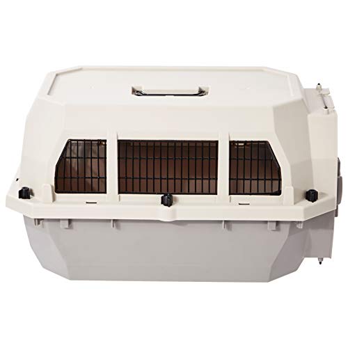 2-Door Top-Load Hard-Sided Pet Carrier, Gray & Blue, 22.8 x 15.0 x 13.0 inches Y166
