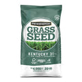 Kentucky 31 Tall Fescue Grass Seed 20 lb & Starter Lawn Fertilizer 14 LBS N843362