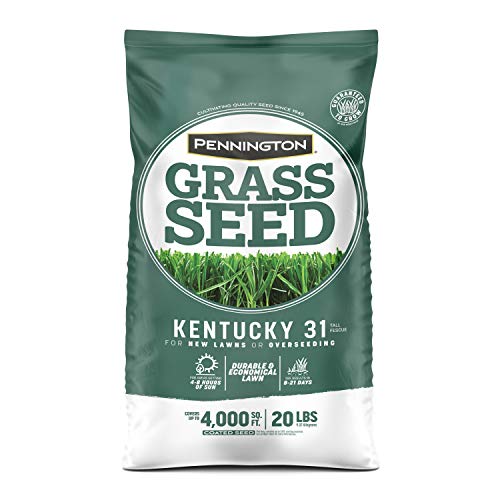 Kentucky 31 Tall Fescue Grass Seed 20 lb & Starter Lawn Fertilizer 14 LBS N843362