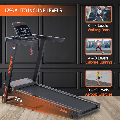 Folding Incline Treadmill with LCD Display R54884