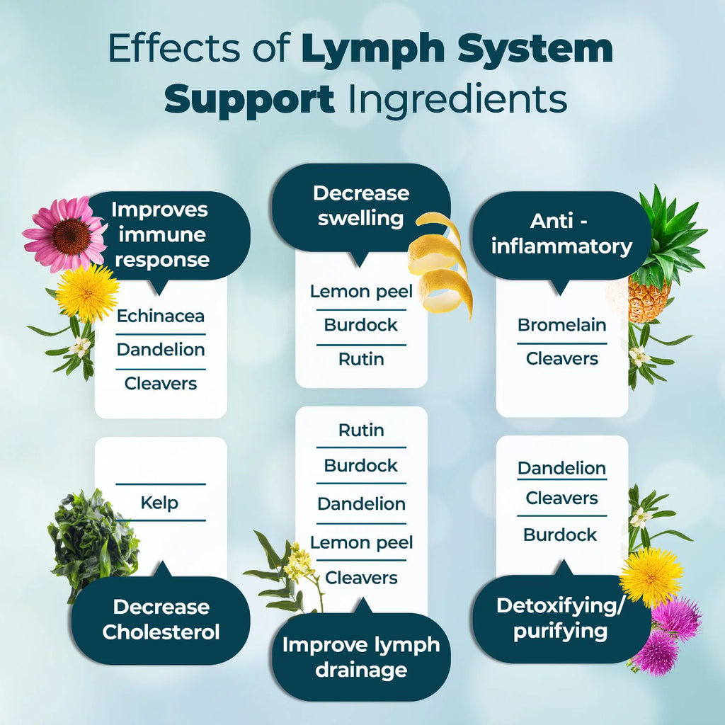 Lymphatic Supplement K8008