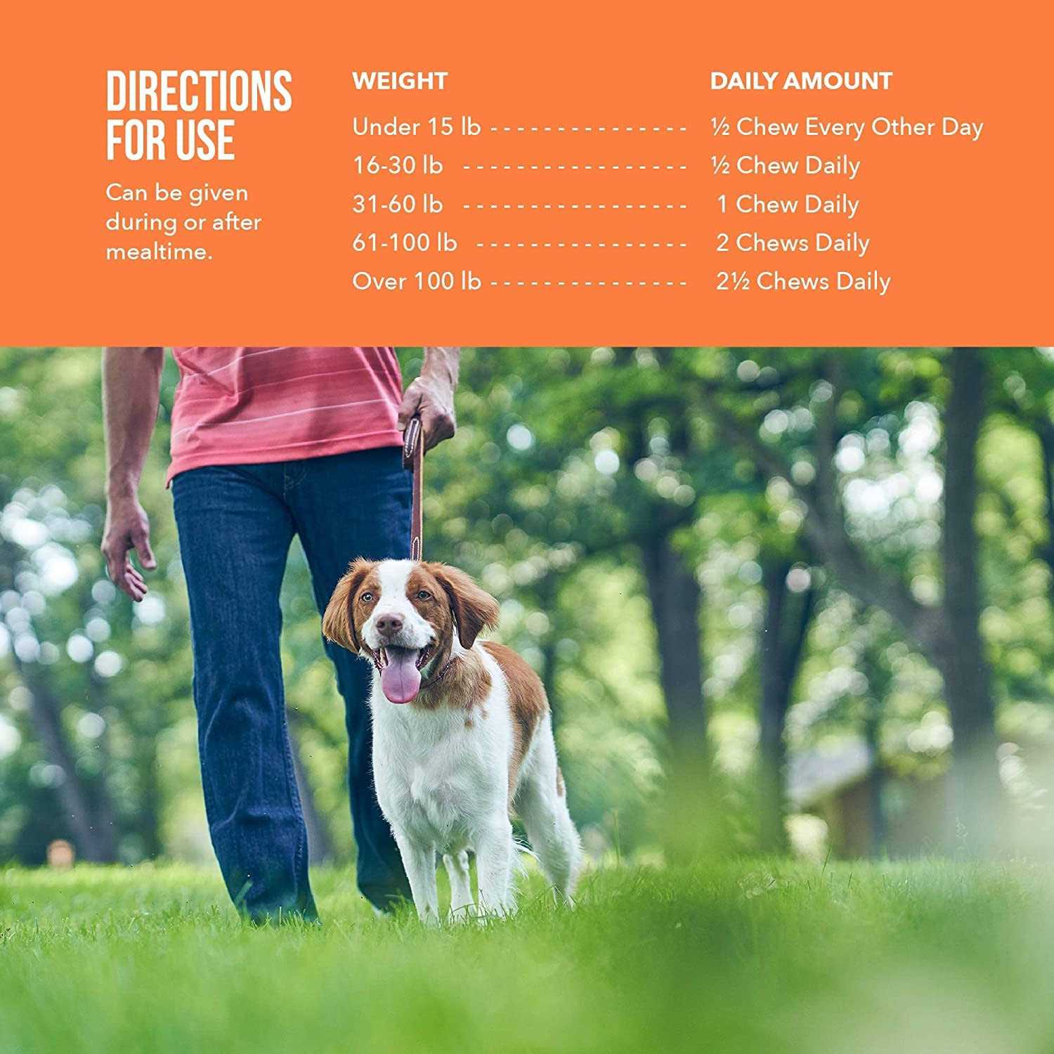 Joint Supplement Soft Chews for Dogs E38992