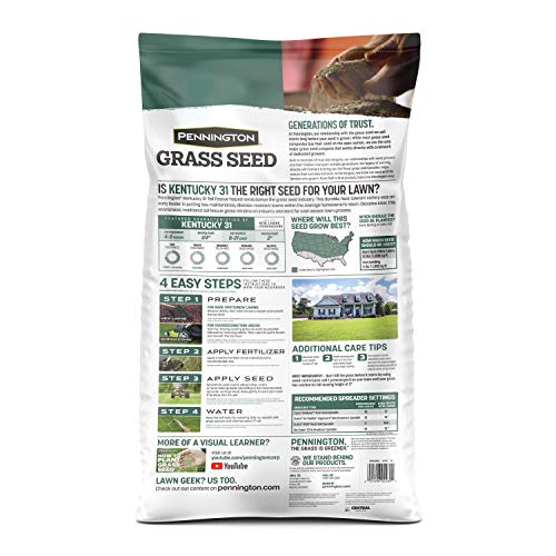 Kentucky 31 Tall Fescue Grass Seed 20 lb & Starter Lawn Fertilizer 14 LBS N843362