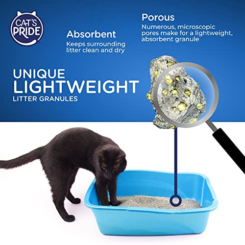 Unscented Multi-Cat Litter, 15 Pounds (Pack of 2) G327553